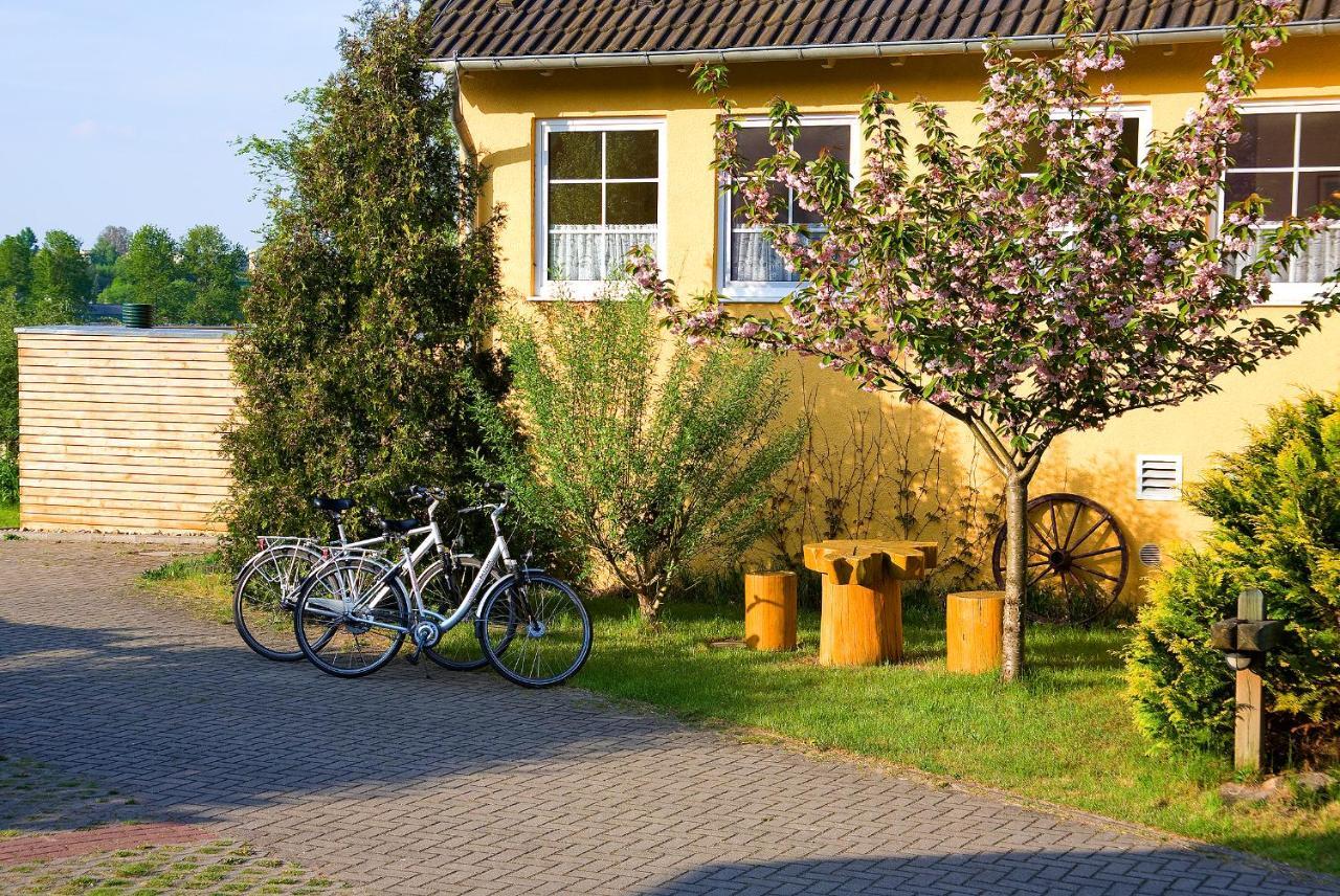 Hotel Am Mueritz-Nationalpark Варен Екстериор снимка